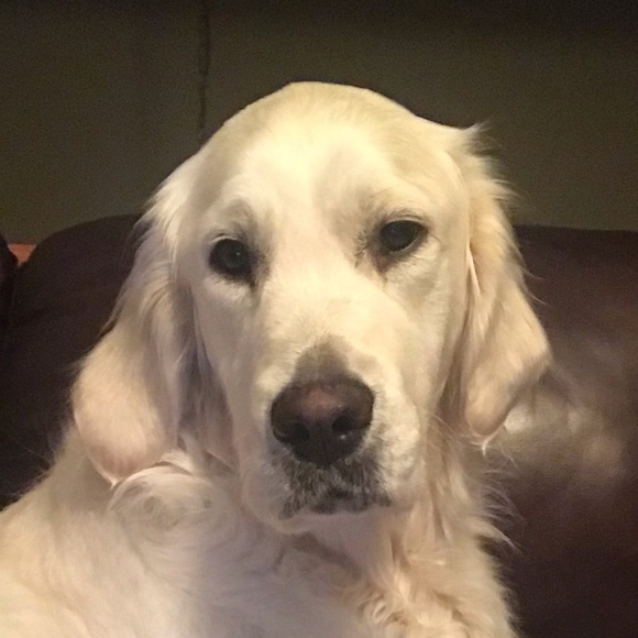 Meet your Posher, Jaime - Picture 1 of 1